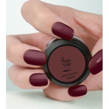 Gel Uv&Led Couleur Pour Ongles Pretty Prune 5G